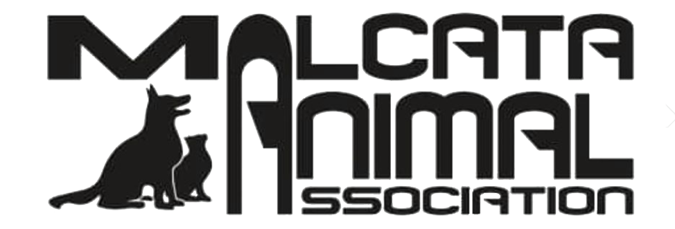 malcata Animal Association